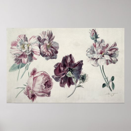 Alma-Tadema | ROSE Poster (Vorne)