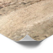 Almería, La Isleta del Moro | Mar Mediterráneo Poster (Ecke)