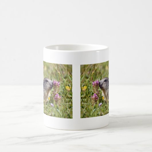 Almmarmot bei Blume Kaffeetasse (Mittel)