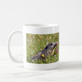 Almmarmot bei Blume Kaffeetasse (Links)