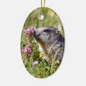 Almmarmot bei Blume Keramik Ornament (Links)
