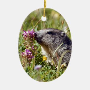 Almmarmot bei Blume Keramik Ornament