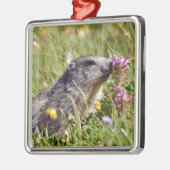 Almmarmot bei Blume Ornament Aus Metall (Links)