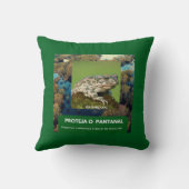 Almofada 40,6 cm x 40,6 cm Sapo Kissen (Rückseite)