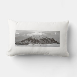 Almohada Illimani Lendenkissen