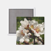 Almond Bloosom Magnet (Vorderseite/Rückseite)