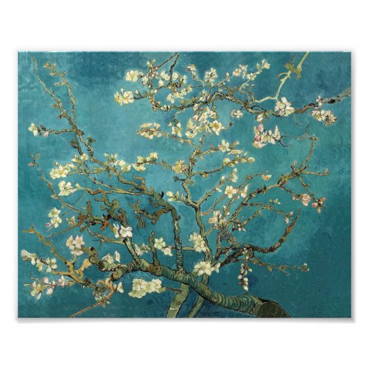 Almond Blossom Fotodruck (Vorne)