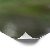 Almond Blossom nah-up Poster (Ecke)