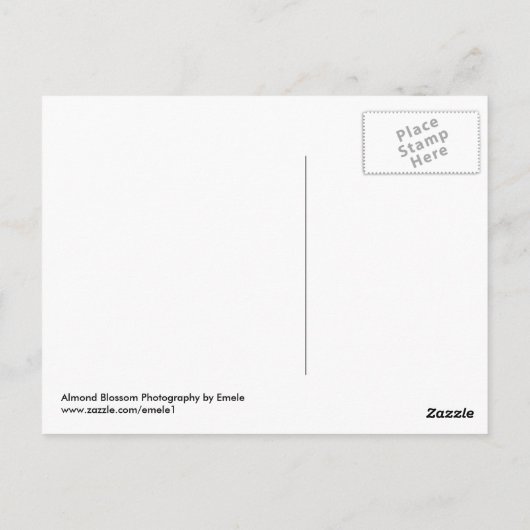 Almond Blossom Postcard Postkarte (Rückseite)