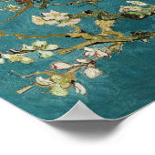 Almond Blossom Poster (Ecke)