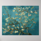 Almond Blossom Poster (Vorne)