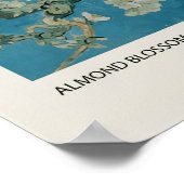 Almond Blossom Poster (Ecke)