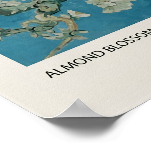 Almond Blossom Poster (Ecke)
