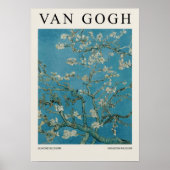 Almond Blossom Poster (Vorne)