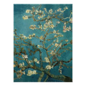 Almond Blossom Poster (Vorderseite)