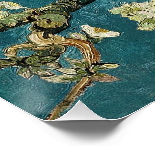 Almond Blossom Poster (Ecke)