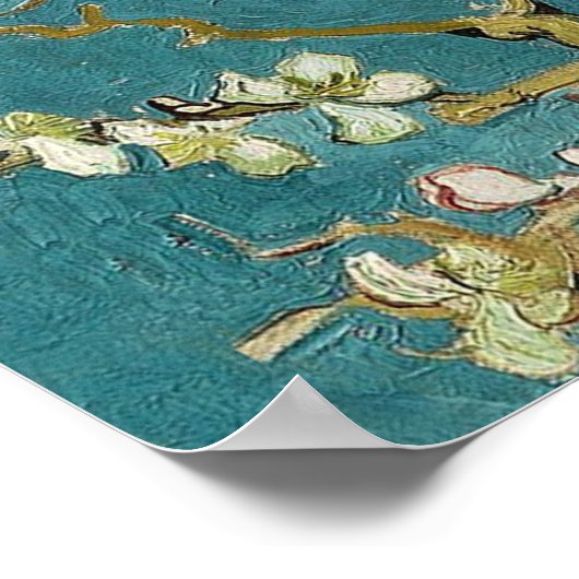 Almond Blossom Poster (Ecke)