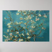 Almond Blossom Poster (Vorne)