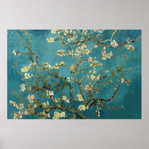 Almond Blossom Poster