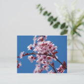 Almond Blossom Postkarte (Stehend Vorderseite)