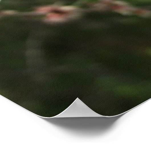 Almond Blossom Spring Blume Poster (Ecke)