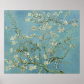 Almond Blossom: Vincent Van Gogh Poster (Vorne)