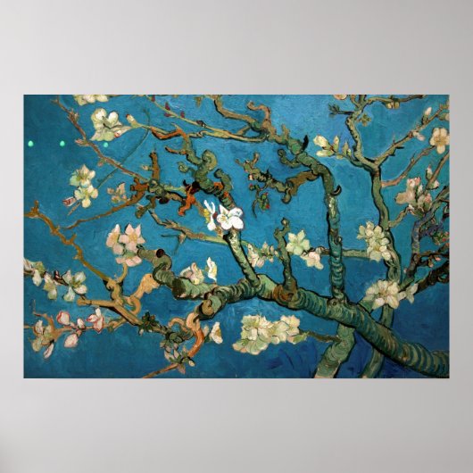 Almond Blossom Vincent Van Gogh Poster XXL (Vorne)