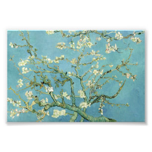 Almond Blossom von Van Gogh Fine Art Foto Prints