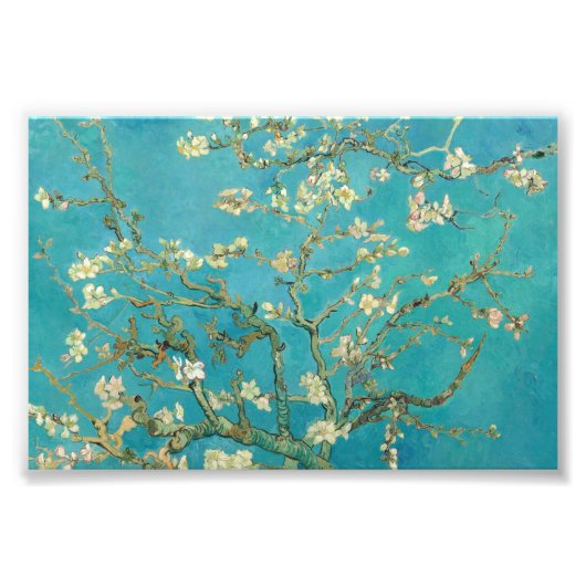 Almond Blossom von Vincent van Gogh Fotodruck (Vorne)