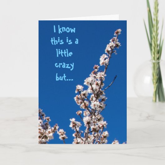 Almond Blossom Wacky Danke (Vorderseite)