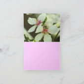 Almond Blossoms Notecard Karte (Innenseite)