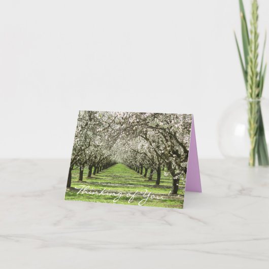 Almond Blossoms Notecard Karte (Vorderseite)