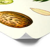 Almond Blossoms Poster (Ecke)