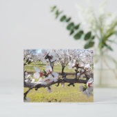 Almond Blossoms Postkarte (Stehend Vorderseite)