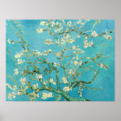 Almond Blossoms | Vincent van Gogh Poster (Vorne)