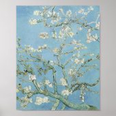 Almond Blossoms Vincent Van Gogh Poster (Vorne)