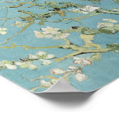 Almond Blossoms Vincent van Gogh Poster (Ecke)