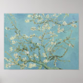 Almond Blossoms Vincent van Gogh Poster (Vorne)