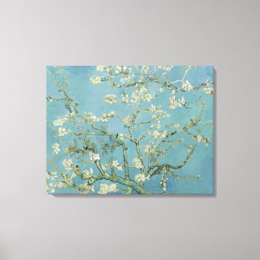Almond Blossoms von Vincent Van Gogh Fine Art Leinwanddruck (Vorderseite)