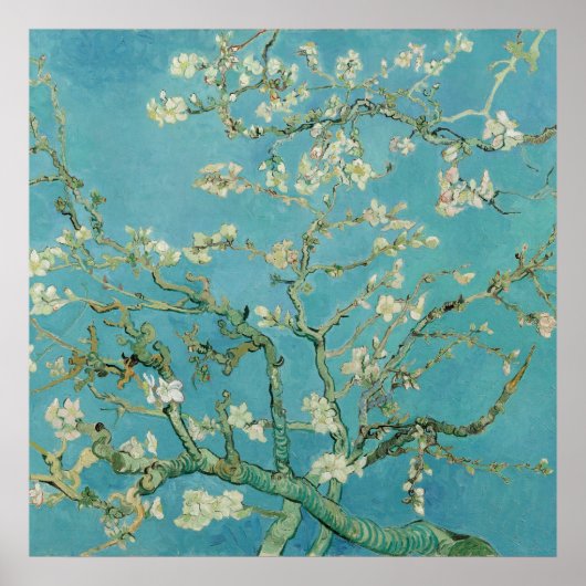 Almond Blossoms von Vincent van Gogh Poster (Vorne)