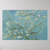 Almond Blossoms von Vincent van Gogh Poster (Vorne)