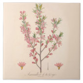 Almond Blüten Keramik Tile Kitchen Dekoration Fliese (Vorderseite)