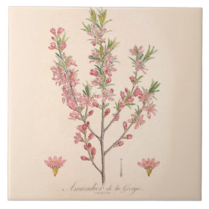 Almond Blüten Keramik Tile Kitchen Dekoration Fliese