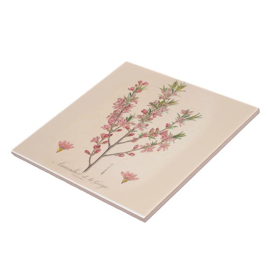 Almond Blüten Keramik Tile Kitchen Dekoration Fliese (Seite)