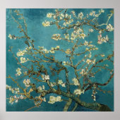 Almond Branches in Bloom Poster (Vorne)