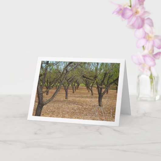 Almond Orchard Landschaft Karte (Orchidee)