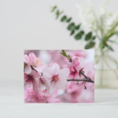 Almond [Postcard] Postkarte (Stehend Vorderseite)