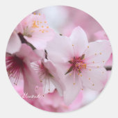 Almond [Round Seal] Runder Aufkleber (Vorderseite)