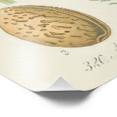 Almond Tree, Amygdalus communis, Fotodruck (Ecke)