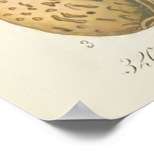 Almond Tree, Amygdalus communis, Poster (Ecke)